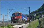 The SBB Re 6/6 11661 (Re 620 061-2)  Gampel-Steg  with a Cargo train near Villeneuve.