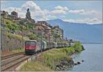 The SBB Re 6/6 11679 (Re 620 079-4)  Cadenazzo  with his Novelis Cargo train by St-Saphorin on the way from Sierre to Göttingen.