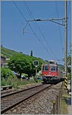 Near Ligerz, on the last remaining short section of single-track railway at the Jurasüdfussstrecke 210/southern foot of the Jura Mountains 210, is the SBB Re 6/6 11664 (Re 620 064-6)  Köniz 