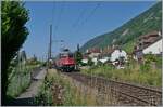 Near Ligerz, on the last remaining short section of single-track railway at the Jurasüdfussstrecke 210/southern foot of the Jura Mountains 210, is the SBB Re 6/6 11683 (Re 620 083-5)  Amsteg