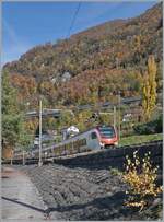 The SBB RABe 523 114 and another FLIRT train are seen shortly before Villeneuve, operating as R3 24341 from Vallorbe to Bex; the small, colorful tree in the foreground prompted me to capture this otherwise everyday (railway) scene.

November 4, 2025