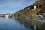 Against the backdrop of a colorful autumn landscape near Chillon Castle, two SBB Flirt regional trains are traveling towards Villeneuve.

November 4, 2025