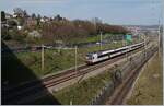 At Denges Echandens there are two SBB RBDe 560 Domino on the way towards Morges. 

April 2, 2019