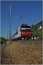 A SBB Domino RBDe 560 is by Ligerz on the way to Bie/Bienne.
11.07.2025 A SBB Domino RBDe 560 is by Ligerz on the way to Bie/Bienne.
11.07.2025