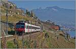 A SBB RBDe 560  Domino  in the vineyards over St Saphorin (Train de vignes /vineyard line). 

15.11.2024