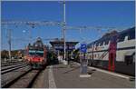 A SBB RBDe 560 is waiting in Palézieux his departure to Vevey. 

26.10.2019