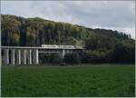 The 393 meter long Gümmenen Viaduct over the Saane is very impressive. Two BLS RABe 525  NINA  are traveling from Kerzers to Bern as S 5 15545. October 5, 2024