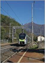 The BLS RABe 528 110  MIKA  arrives at Preglia station.