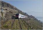  Long-distance traffic  on the Train de Vignes route: the SBB Flirt3 RABe 523 503  Mouette  (RABe 94 85 0 523 503-6 CH-SBB), which was purchased for long-distance traffic, is running as S7 on the Train de Vignes route between Vevey and Puidoux. The picture was taken over St Saphorin. The following day the Flirt3  Mouette  was replaced by a domino train.

February 15, 2023