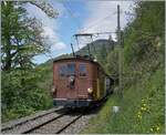The BOB HGe 3/3 29 on the way from Blonay to Chaulin near Chamby. 

22.05.2021