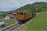 The Bernina Bahn RhB Ge 4/4 81 by the Blonay Chamby Railway is by Cornaux on the way to Chamby.