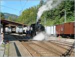 The BFD HG 3/4 N° 3 has arrived in Chaulin and is immediately heading to locomotive treatment to replenish its supplies.