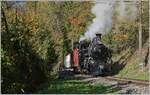 The BFD HG 3/4 N° 3 of the Blonay-Chamby Railway is shortly after Chamby on the way to Chaulin and travels through a section of forest that is slowly but surely turning autumnal.