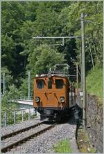  Swiss Steam Festival 2025  - The steam locomotives will be  dismantled  in Chaulin, and, as in recent years, electric locomotives will take over the last trains: At Vers chez Robert, the magnificent RhB Bernina Bahn Ge 4/4 81 of the Blonay Chamby Railway can be seen on the journey to Chaulin.

June 8, 2025