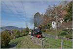 The SEG G 2x 2/2 N° 105 and BDF HG 3/4 N° 3 (all by the Blonay Chamby Railway) with a steamer Service by Chaulin on the way to Chamby    29.10.2022