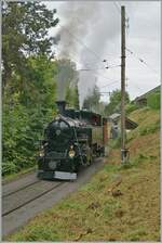 The BFD HG 3/4 3 by the Blonay-Chamby Railway by the station fo Chantemerle. 

08.09.2024