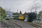 The BFD HG 3/4 N° 3 by the Blonay-Chamby Railway is arriving with his steam train at the Blonay Station.