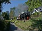 The SEG G 2x 2/2 105 is wiht his steam train betwenn Blonay and Chantemerle on the way to Chaulin.