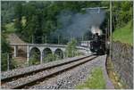 The BFD HG 3/4 N° by the Blonay-Chamby Railway is with his steamer train service near Vers-Chez-Robert on the way from Blonay to Chaulin

08.06.2025