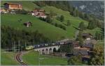 A BLS Re 4/4 II with his RE from Zweisimmen to Interlaken Ost by Garstatt.