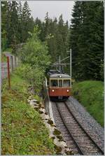 The BLM Be 4/4 31  LISI  betwenn Winteregg and Mürren on the way from the Grütschalp to Mürren.