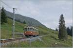 The BLM Be 4/4 31  Lisi  betwenn Grütschalp and Winteregg on the way to Mürren. 

08.08.2024