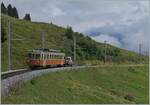 The BLM Be 4/4 31  Lisi  on the way to Mürren between the Grütschalp and Winteregg.

08.08.2024