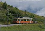 The BLM Be 4/4 31  Lisi  on the way to the Grüschalp between Wintereggg and the Grütschalp.