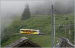 The new BLM Be 4/6 102 “Mönch” comes from Mürren and will soon reach Winteregg train station. The fog in the middle of summer, which enchants the scenery, is rather unusual.

July 23, 2024