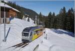 The BLM Be 4/6 101  Mönch  reaches the Winteregg train station as a regional train R 66 from (Lauterbrunnen)/Grütschalp to Mürren. February 18, 2025