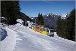 The new BLM railcar Be 4/6 102  Jungfrau  is near the Winteregg on the way form the Grüschalp to Mürren. 

February 18, 2025