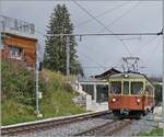 The BLM Be 4/4 31  LISI  on the way to Mürren is leaving the Winteregg station. 

08.08.2024