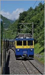 Since you can at least partially open the windows even on modern BOB trains and the route shortly after Zweilütschinen is two-lane for a few kilometers, I managed to photograph the oncoming BOB ABeh 4/4 313 with its train to Lauterbrunen (and Grindelwald). 
July 23, 2024