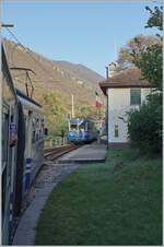 To my great surprise and delight, the SSIF ABe 6/6 33  Sempione,  bound for Domodossola, crosses the SSIF ABe 8/8 21  Roma  in Verigo, which is en route to Locarno. 
31 Oct. 2024 To my great surprise and delight, the SSIF ABe 6/6 33  Sempione,  bound for Domodossola, crosses the SSIF ABe 8/8 21  Roma  in Verigo, which is en route to Locarno. 
31 Oct. 2024