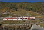 The TMR Region Alps RABe 525 038  NINA  on the way from Le Chabel to Martingy in the vineyards by Bovernier.