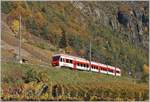 The TMR Region Alps RABe 525 038  NINA  on the way from Le Chabel to Martingy in the vineyards by Bovernier.