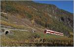 The TMR Region Alps RABe 525 038  NINA  on the way from Le Chabel to Martingy in the vineyards by Bovernier.