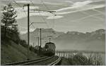 A MOB ABDe 8/8 Serie 4000 between Châtaelard VD and Planchamp with the Dents de Midi in the background.