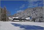 Against the backdrop of snow-covered forests, the two MOB Alpina ABe 4/4 9304 and Be 4/4 9204 are at Les Avants on the regional train PE 2215 on the way from Zweisimmen to Montreux. Jan 3, 2025