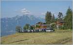 With the GoldenPass Express (GPX), now expanded to five cars, the MOB Ge 4/4 8002 is near Les Avants on its way to Interlaken. In Zweisimmen, the Ge 4/4 is replaced by a BLS Re 465, and a sixth car, the  Interface Car,  is added to the train.

June 28, 2024