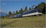 The MOB Ge 4/4 8002 with his GoldenPass Express on the way from Montreux to Interlaken Ost near Les Avants. 

28.06.2024