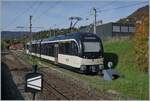 The CEV MVR ABeh 2/6 7503  Blonay-Chamby  stands on a siding in Blonay.