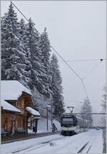The CEV MVR ABeh 2/6 7502 'Blonay' on the way from Blonay at the Les Pléiades Station. 

29.01.2026
