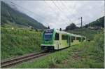 In the vineyard near Aigle, the new TPC ASD ABe 4/8 471 is on the way to Aigle. 

August 3, 2024