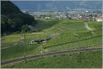 In wide curves through the Aigle vineyards, the ASD route gains the necessary height; In the picture the TPC ASD ABe 4/8 471 as R71 on the journey from Aigle to Les Diablerets. 

August 3, 2024