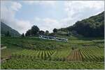 In wide curves through the Aigle vineyards, the ASD route gains the necessary height; In the picture the TPC ASD ABe 4/8 743 in the very successful  Glacier 3000  advertisement is as R71 432 on the