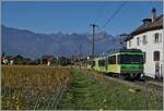 At the entrance to Aigle, the TPC Beh 4/8 is on the way to the SBB train station.