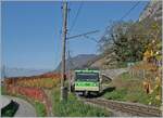 Two of the three new ABe4/8 471 - 473 are in use, the third round is covered by one of the two TPC Beh 4/8 591 and 592. In the picture the Beh 4/8 591 as R 71 on the journey from Aigle to Les Diablerets in the colorful vineyards just above the Château d'Aigle, whereby the red leaves of the  wild wine  in particular motivated me to take this picture.

November 2, 2024