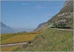 Between the Rhone plain and the steeply rising mountains there is not much space for planting vines, but on a long strip from Bex via Ollon and Aigle to Yvorne, a delicious wine grows in an