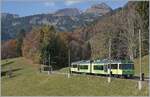 Against the wonderful backdrop of colorful autumn, the TPC Beh 4/8 591 is on its way to Les Diablerests between Le Sépey and Les Planches.